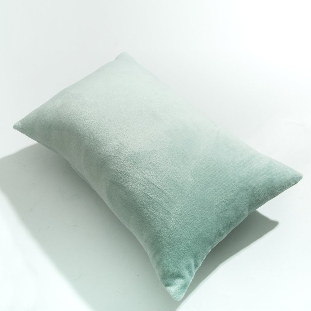 NTBAY 2 Pack Super Soft Solid Color Pillow Cases